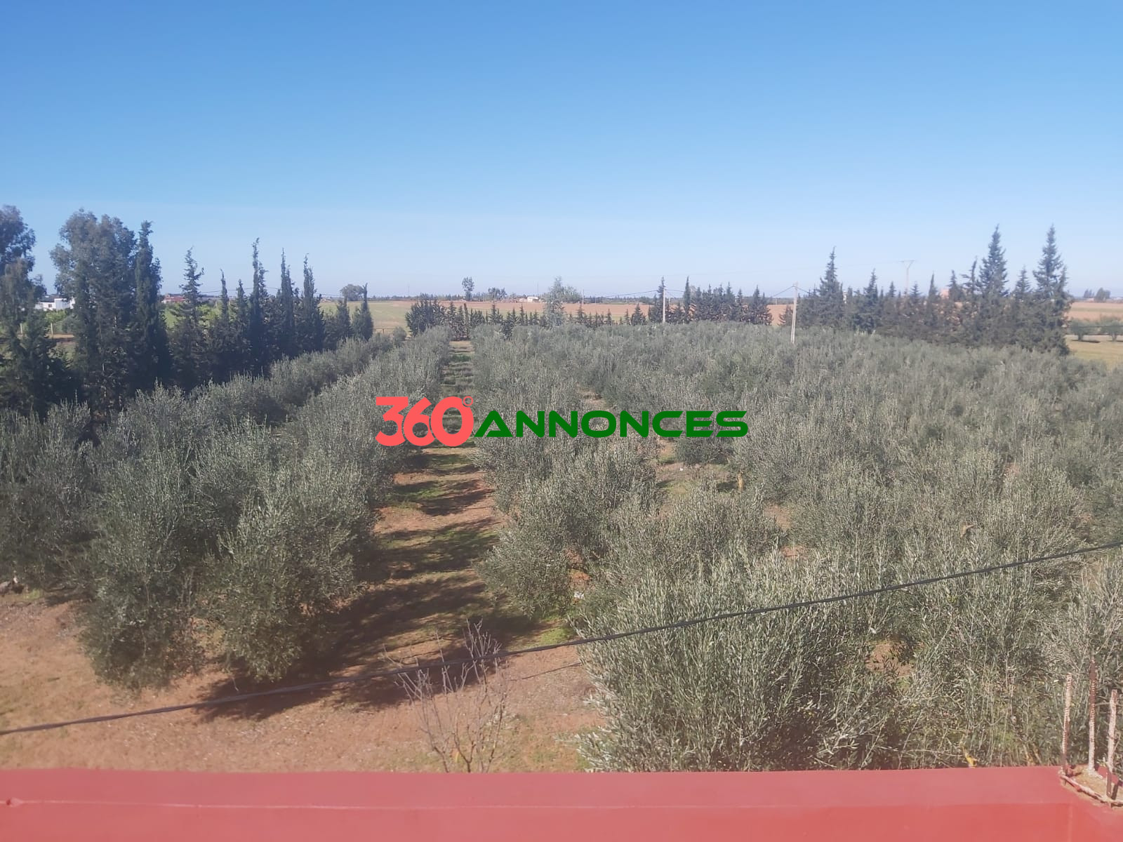 Belle Ferme à Vendre 🌳🏡 - photo 9