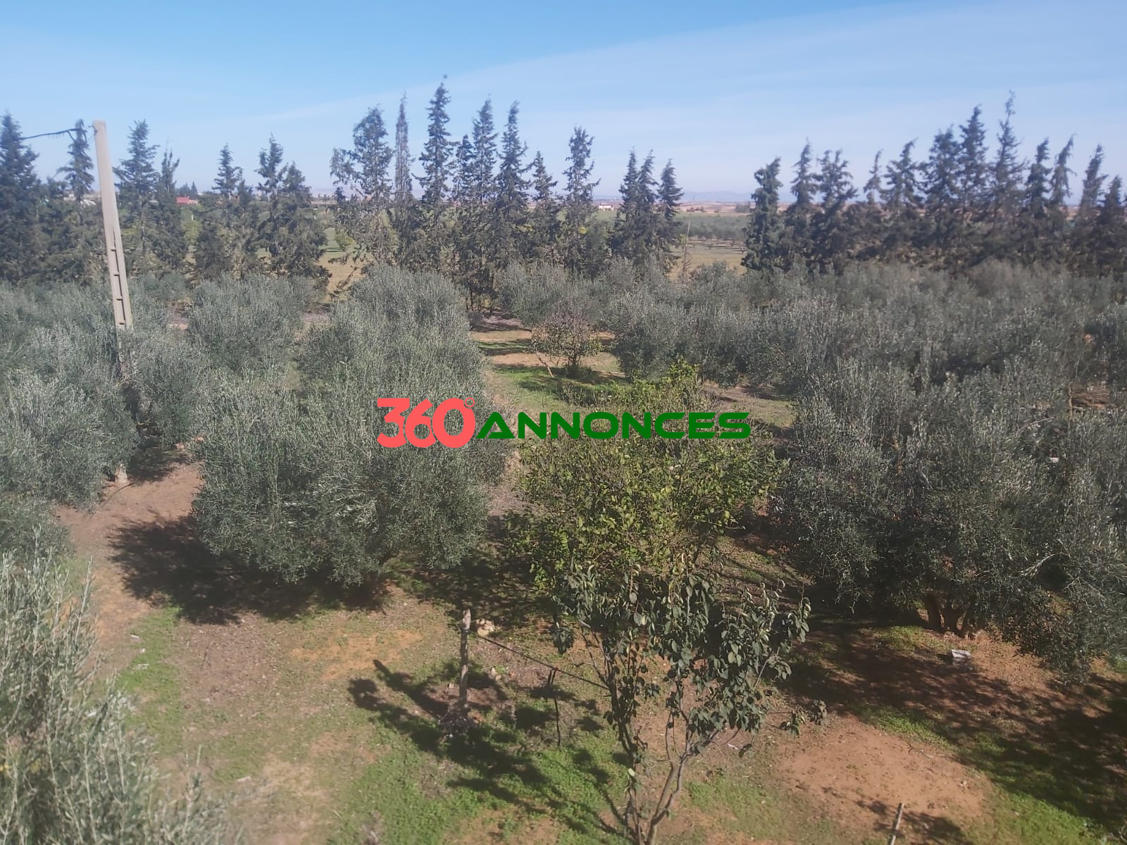 Belle Ferme à Vendre 🌳🏡 - photo 10