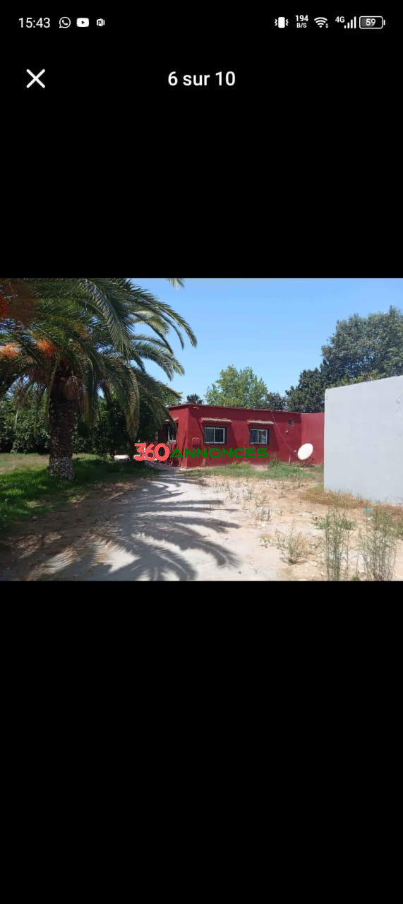 Ferme à Vendre près de l'Aéroport Rabat-Salé 🌾✈️ - photo 3