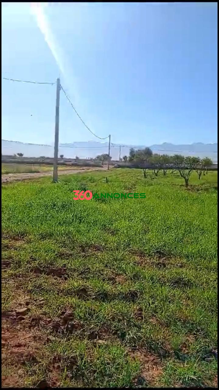 🌳 Terrain à Vendre – 4 Hectares sur la Route d'Ourika, Marrakech — photo 2