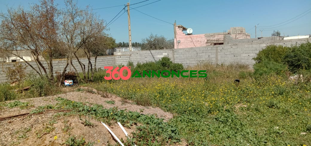 🏡 Propriété à Vendre – Résidence et Projet Commercial sur la Route de Marrakech - photo 5