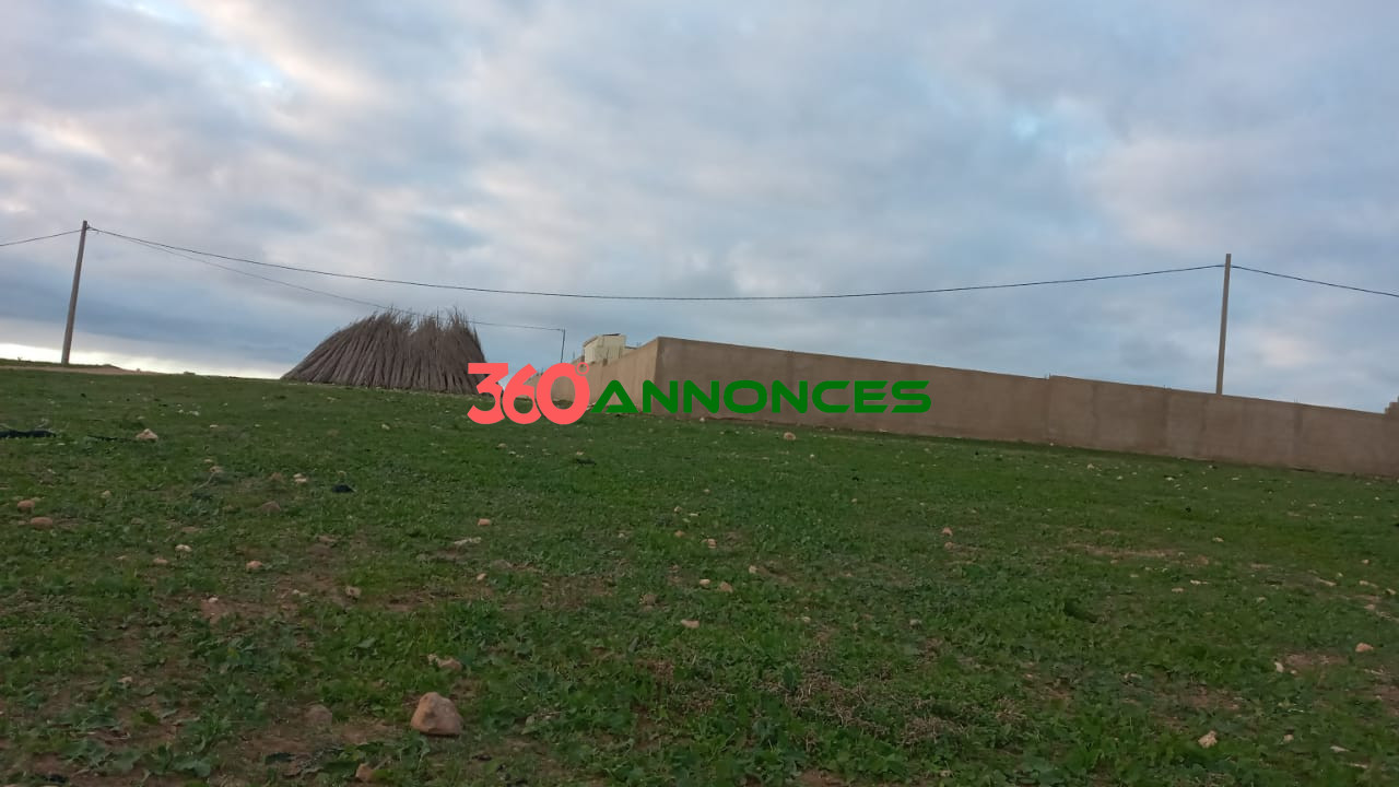 À vendre : Terrain titré de 12 000 m² à Beddouza, entre Safi et Oualidia - 100 MAD/m² 🌄 — photo 3