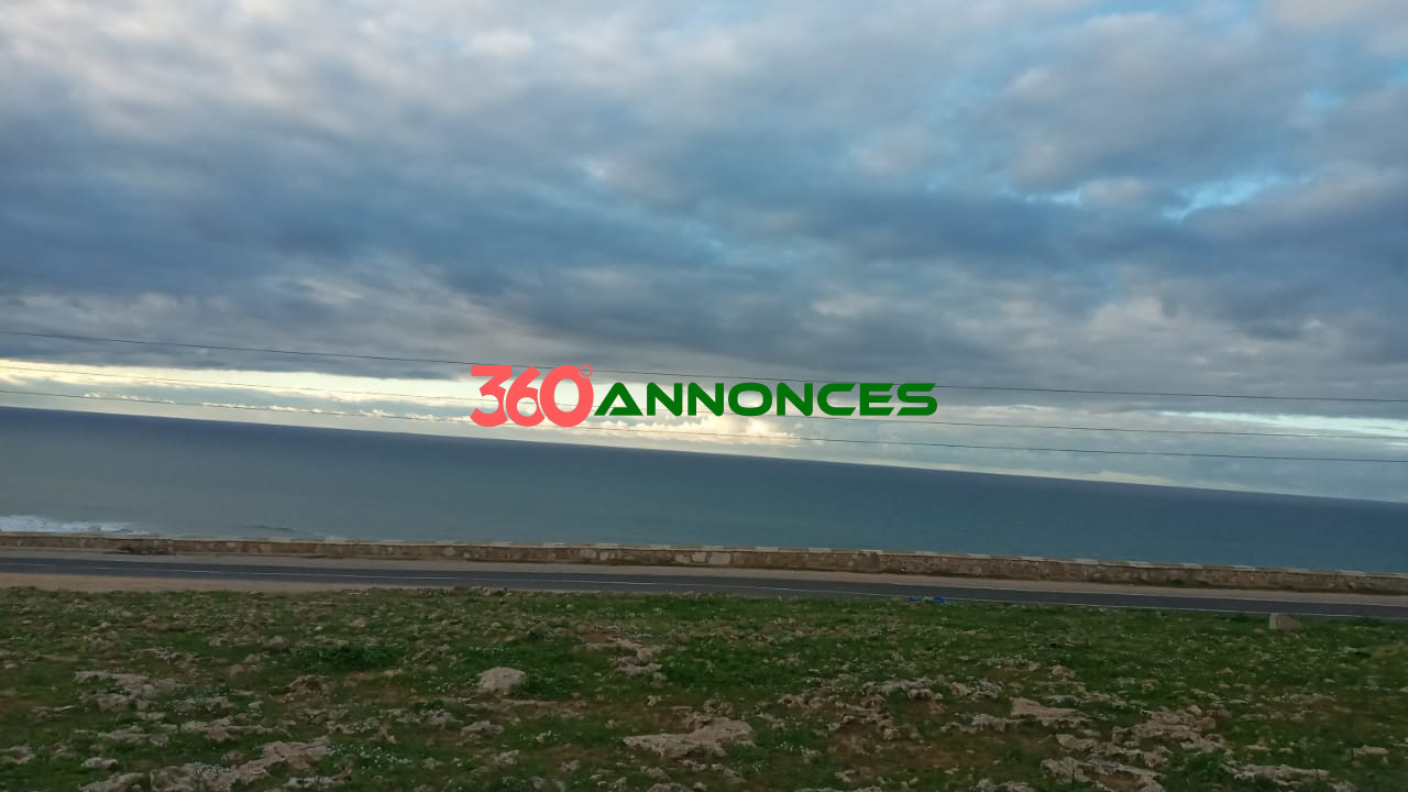 À vendre : Terrain titré de 12 000 m² à Beddouza, entre Safi et Oualidia - 100 MAD/m² 🌄 — photo 4