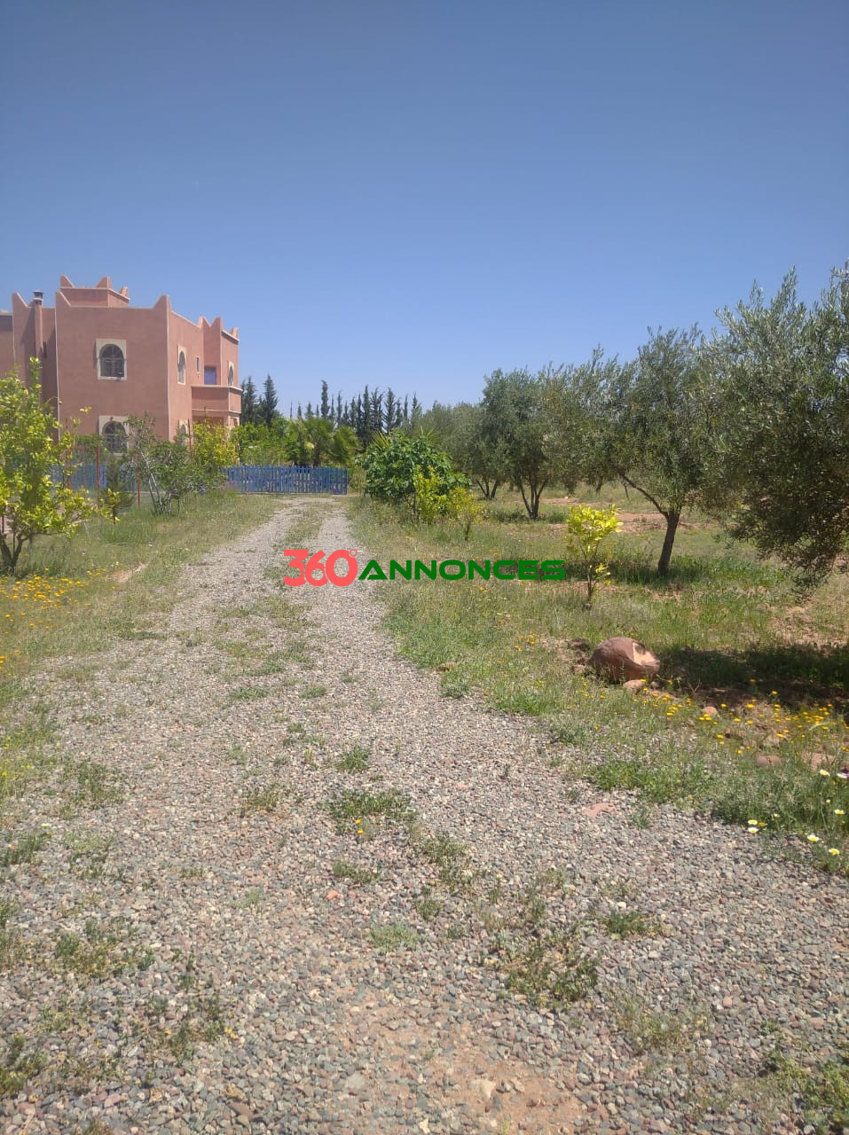 🌿 À Vendre : Ferme de 2 Hectares à Sidi Abdellah Ghiat, 24 km de Marrakech 🌿 - photo 2