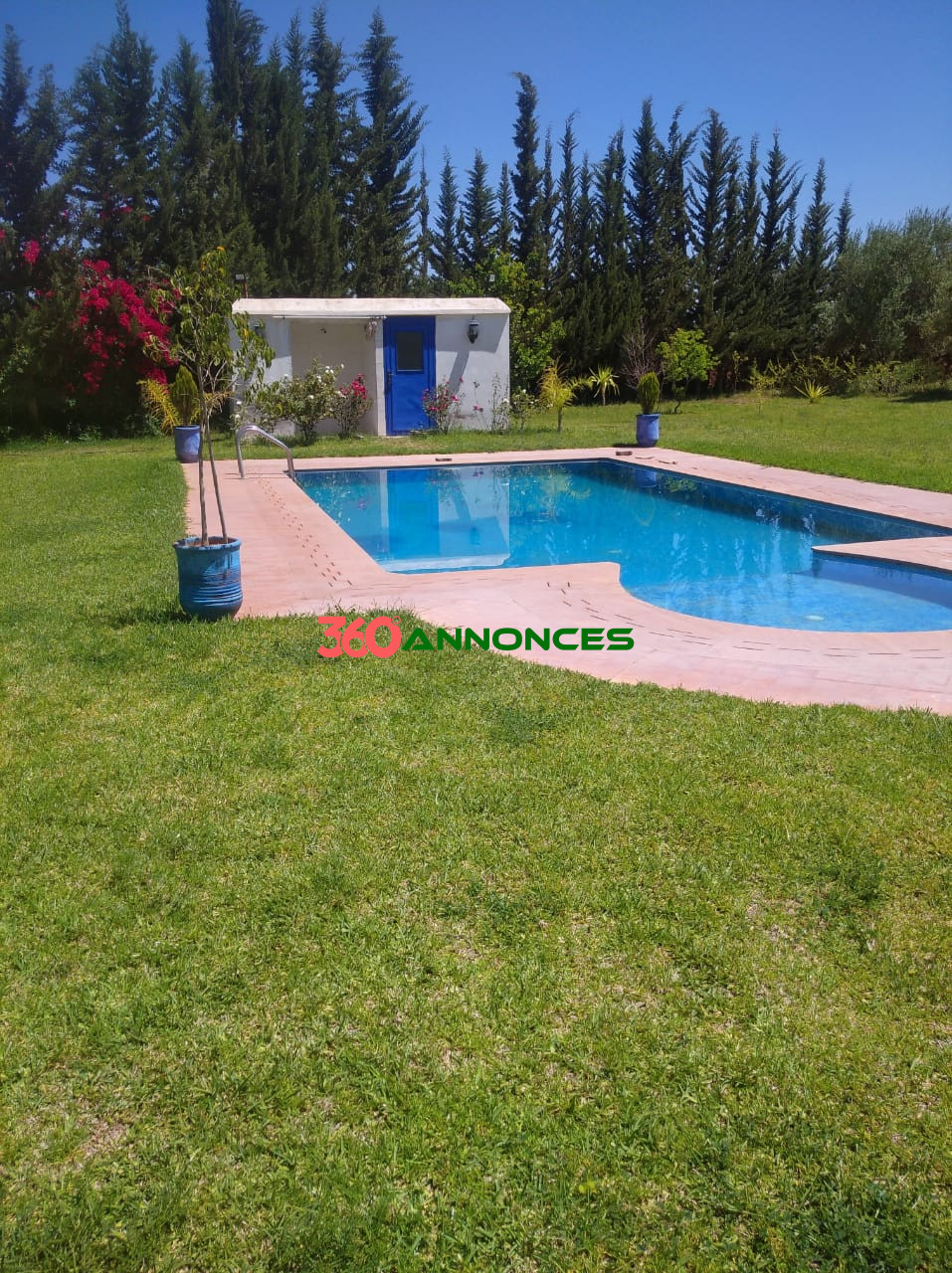 🌿 À Vendre : Ferme de 2 Hectares à Sidi Abdellah Ghiat, 24 km de Marrakech 🌿 - photo 5