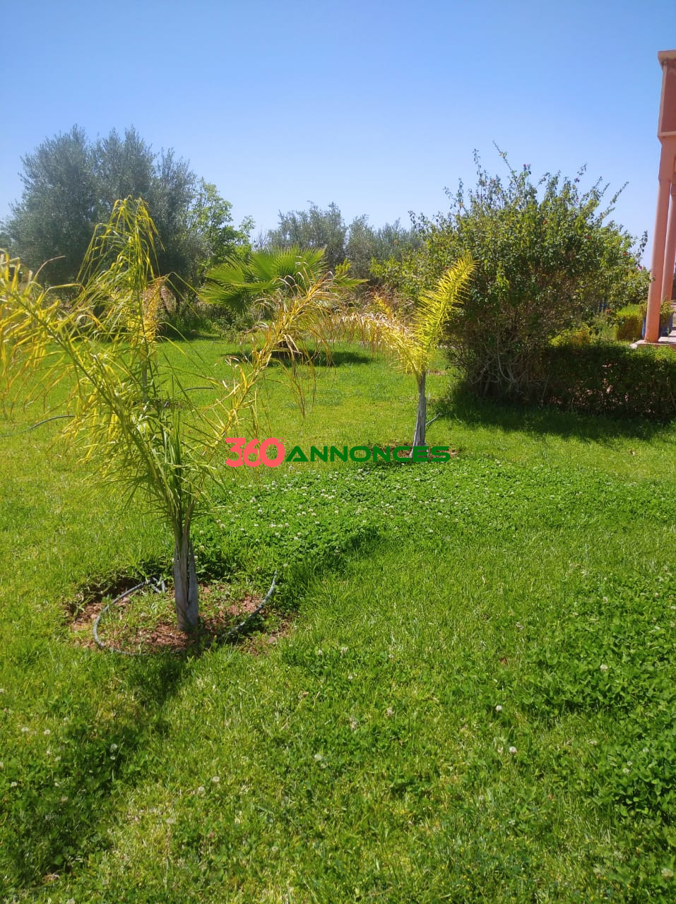 🌿 À Vendre : Ferme de 2 Hectares à Sidi Abdellah Ghiat, 24 km de Marrakech 🌿 - photo 7