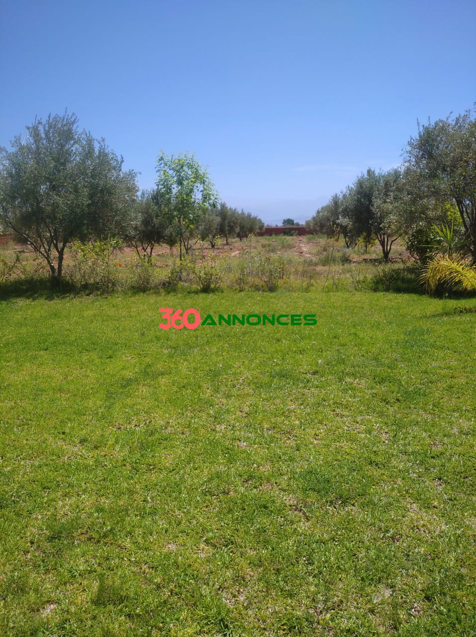 🌿 À Vendre : Ferme de 2 Hectares à Sidi Abdellah Ghiat, 24 km de Marrakech 🌿 - photo 9