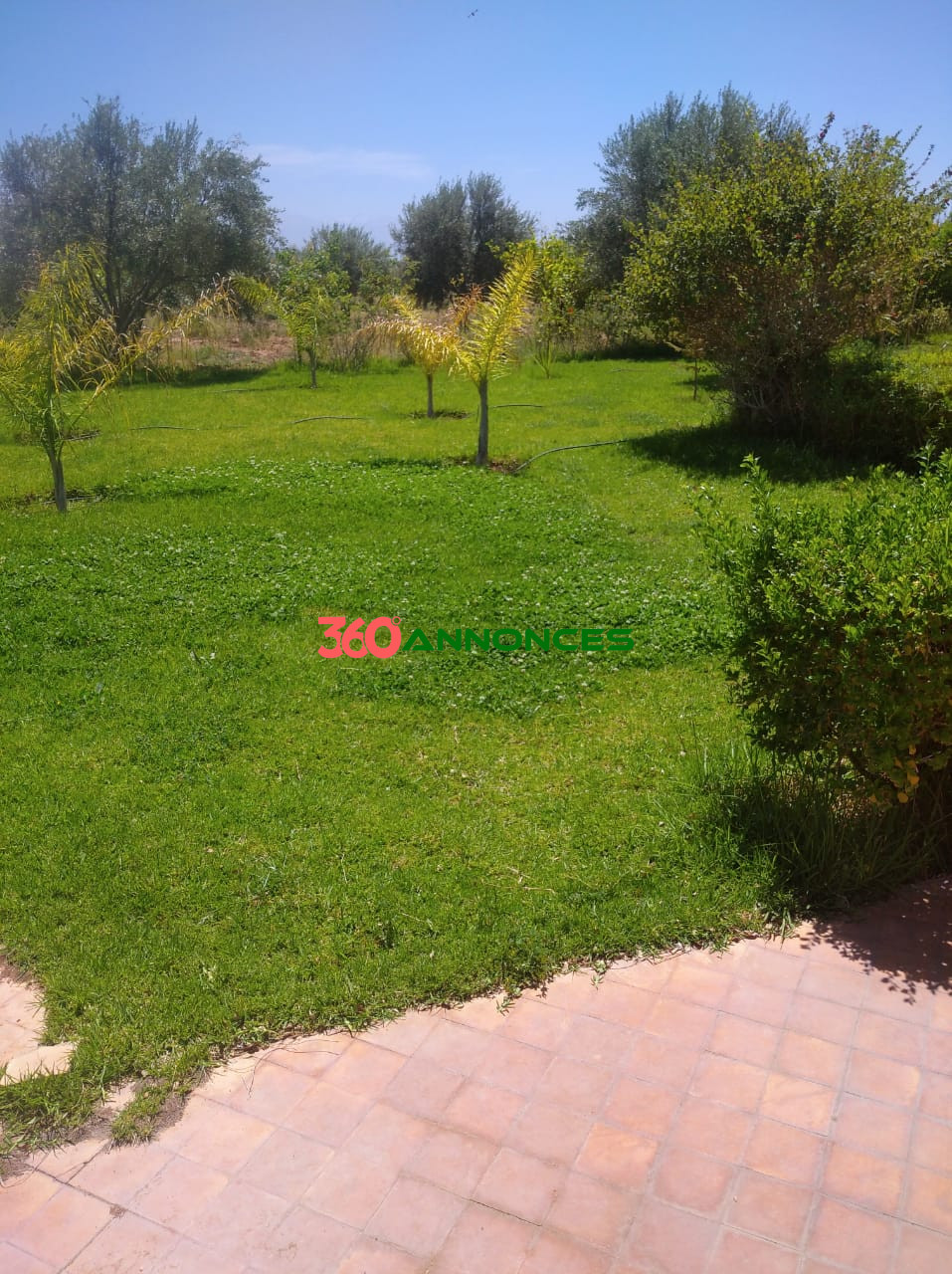 🌿 À Vendre : Ferme de 2 Hectares à Sidi Abdellah Ghiat, 24 km de Marrakech 🌿 - photo 10