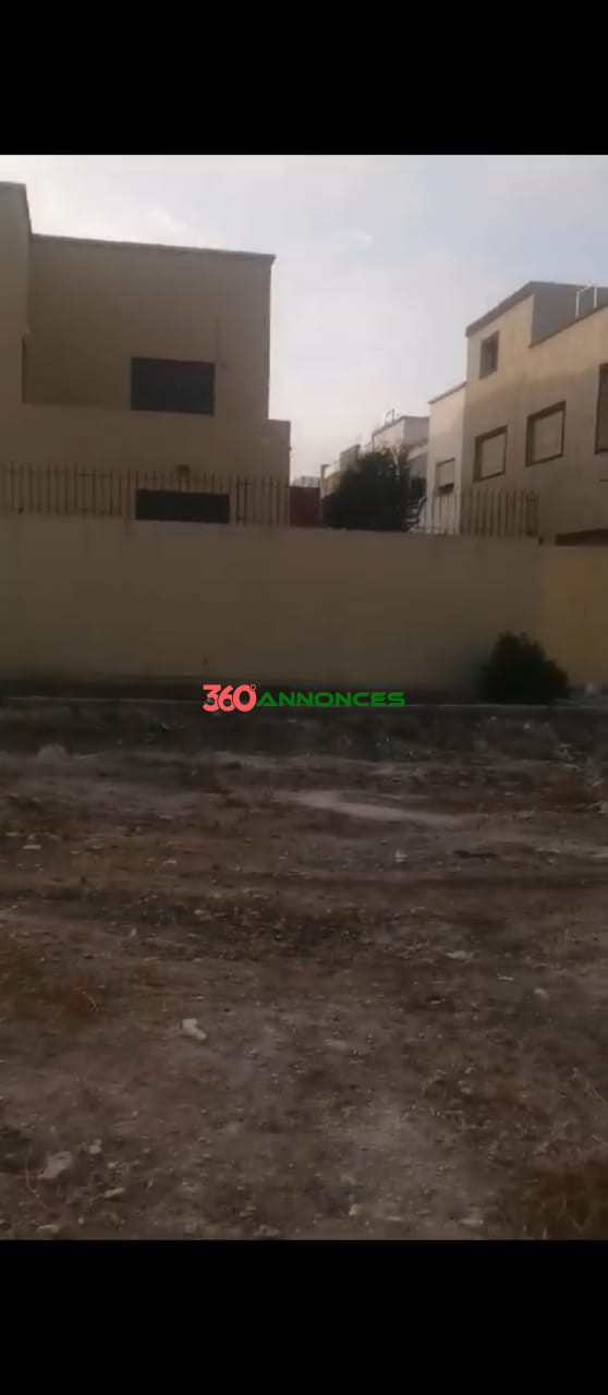 🌍 À Vendre : Terrain de 893 m² au centre de Berrechid 🌍 — photo 3