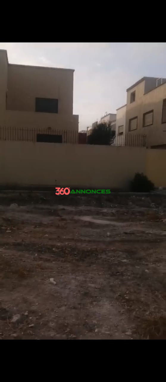 🌍 À Vendre : Terrain de 893 m² au centre de Berrechid 🌍 — photo 4