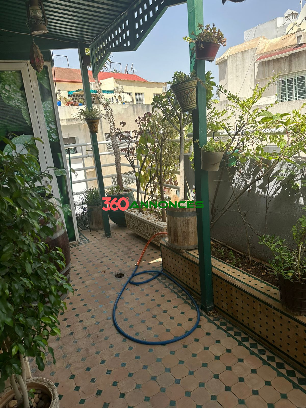 Photo 6