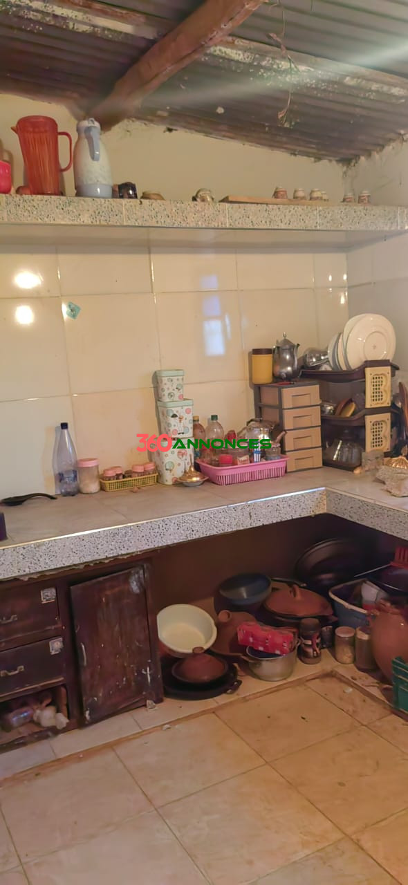 🌿 Ferme à Vendre à Tiflet - 1 100 000 MAD 🏞️ — photo 2