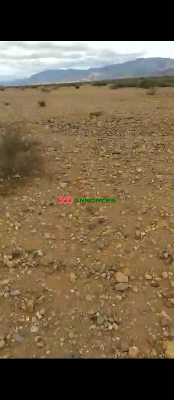 🌍 Vente Terrain - 40 Hectares à Chichaoua, Marrakech Prix : 100,000 MAD par hectare soit un total de 4,000,000 MAD 💰 — photo 2