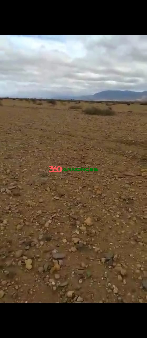 🌍 Vente Terrain - 40 Hectares à Chichaoua, Marrakech Prix : 100,000 MAD par hectare soit un total de 4,000,000 MAD 💰 — photo 3