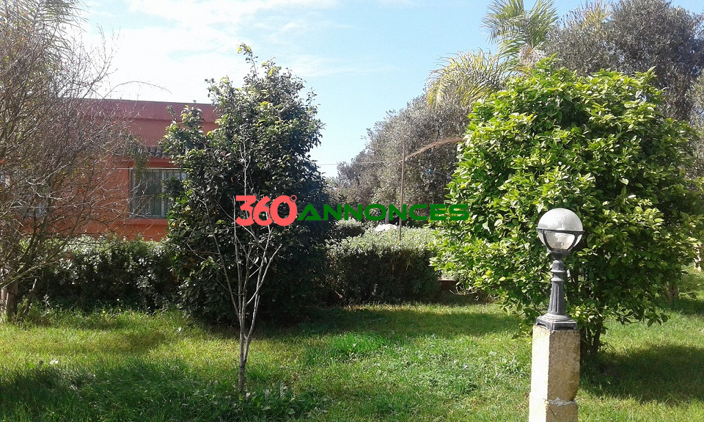 🌟 Terrain titré de 6800 m² à vendre à Dar Bouazza - 4 200 000 MAD 🌳🏡 — photo 2