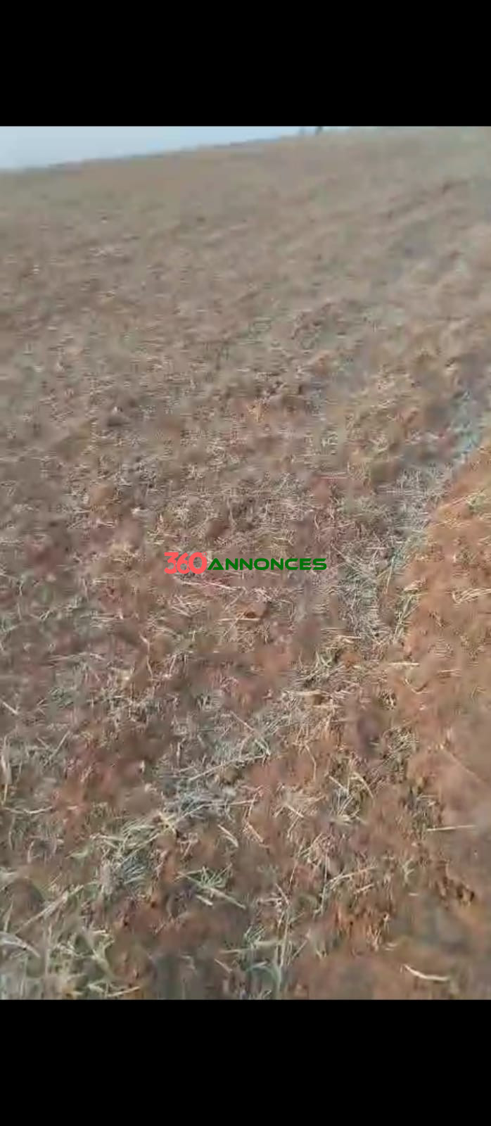🌿 Terrain de 1 hectare à vendre à Sidi Yahya Zaer - 500 000 MAD 🌟 — photo 2