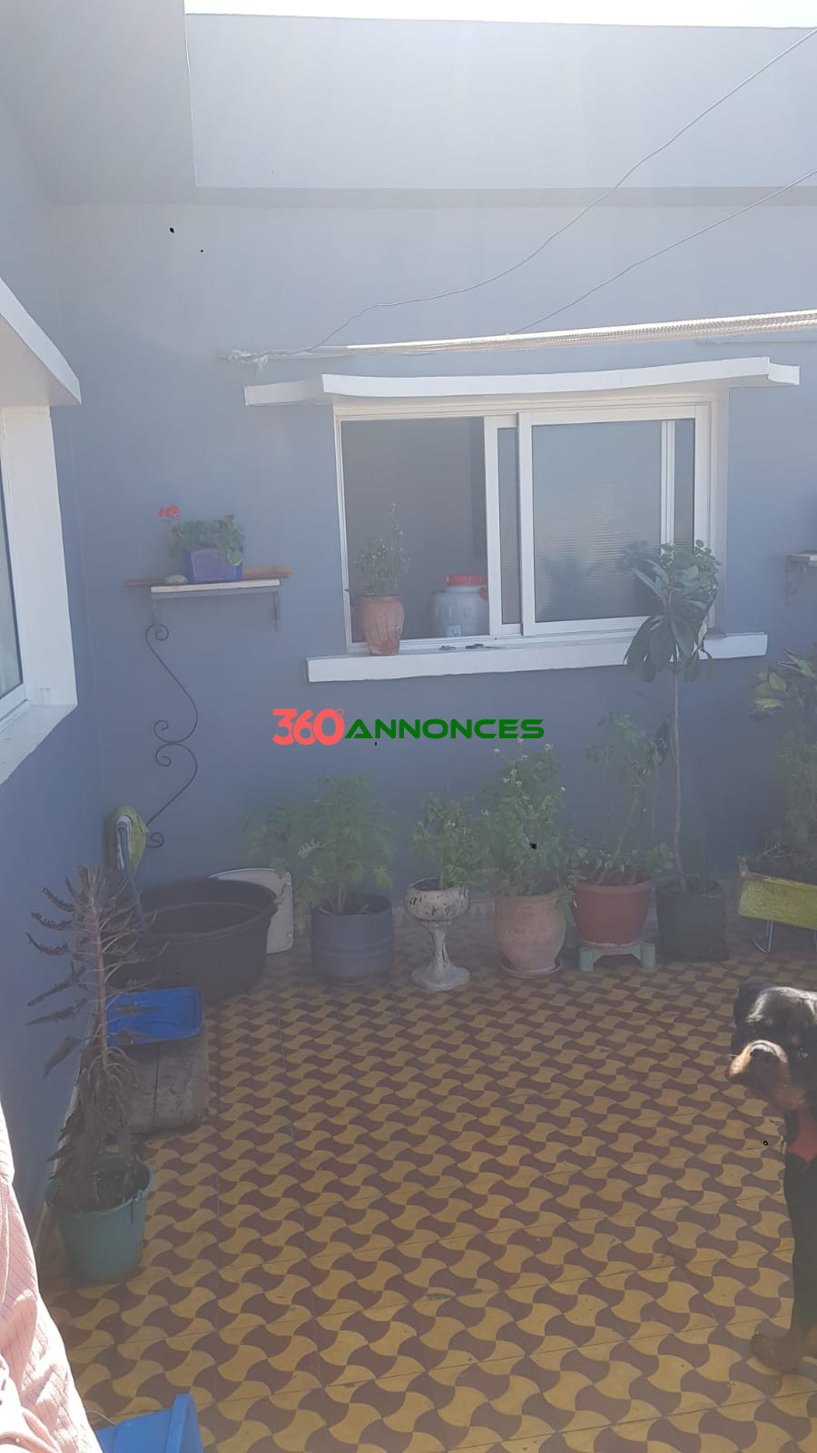 🏢 Immeuble R+3 à vendre à Yaacoub Al Mansour, Rabat - photo 18