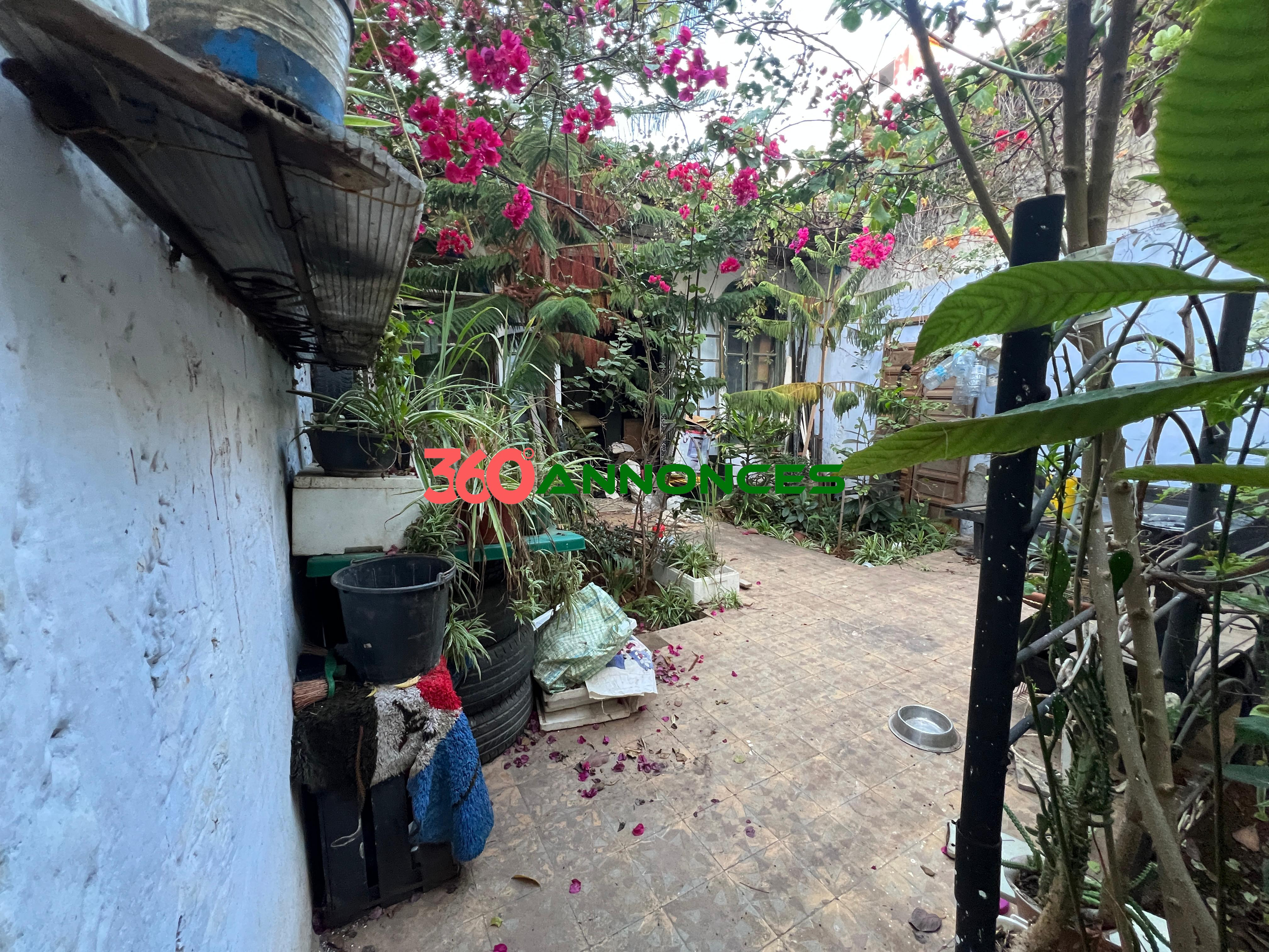 🏡 Riad à Vendre à la Médina de Rabat - photo 2
