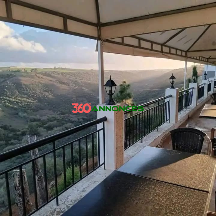 🏡 Villa ou Projet Touristique/Professionnel à Vendre - Dar Essalam - photo 2