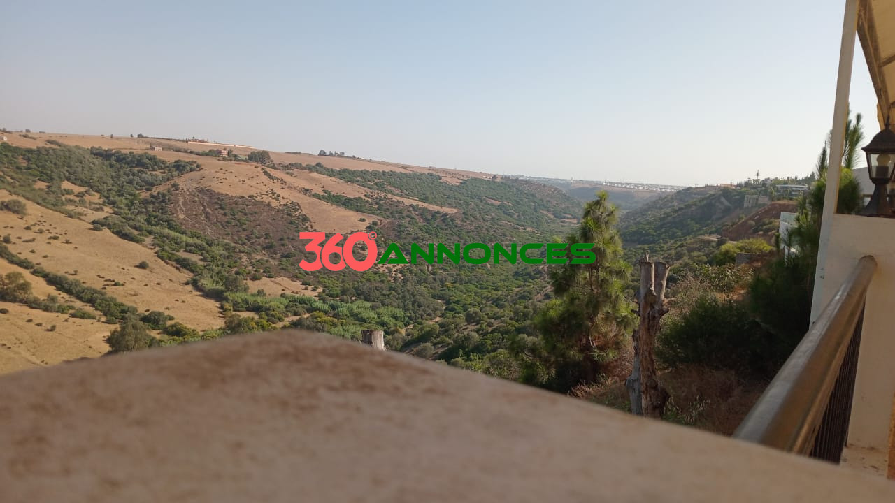 🏡 Villa ou Projet Touristique/Professionnel à Vendre - Dar Essalam - photo 11