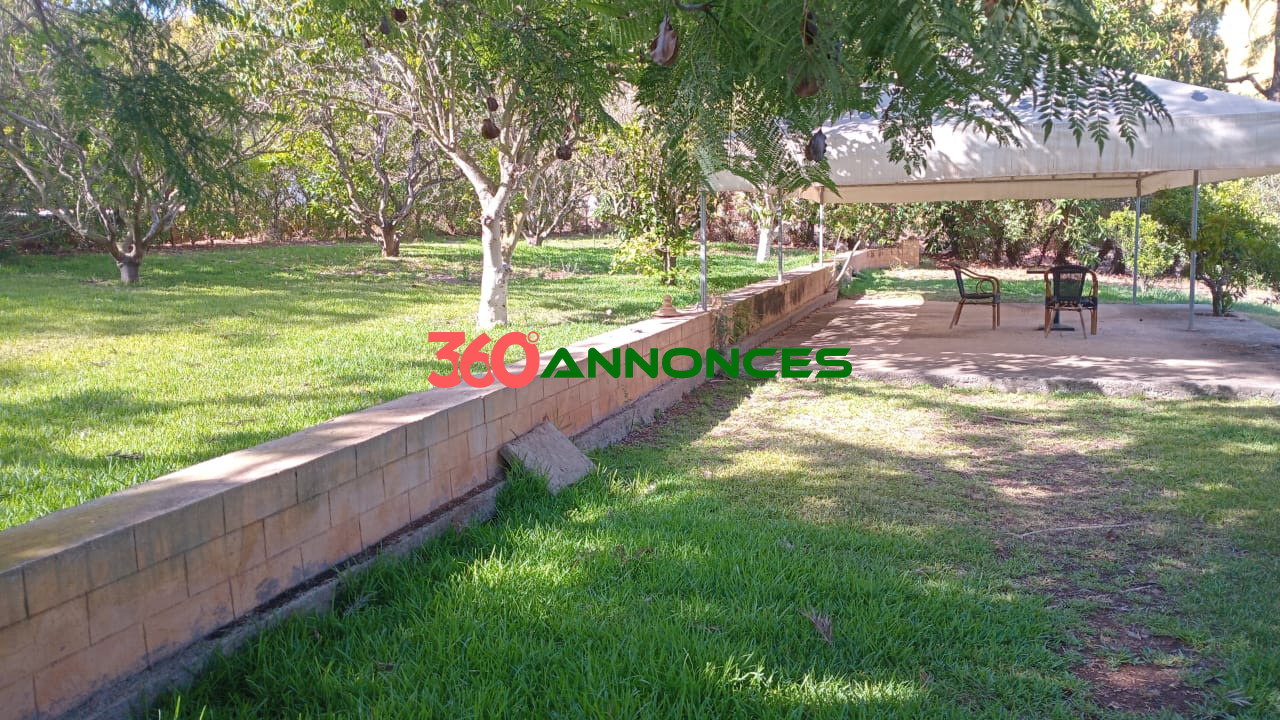 🏡 Villa ou Projet Touristique/Professionnel à Vendre - Dar Essalam - photo 5