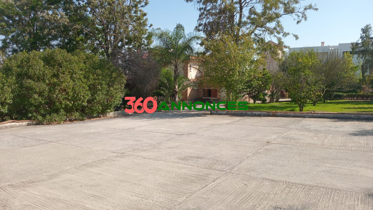 🏡 Villa ou Projet Touristique/Professionnel à Vendre - Dar Essalam - photo 7