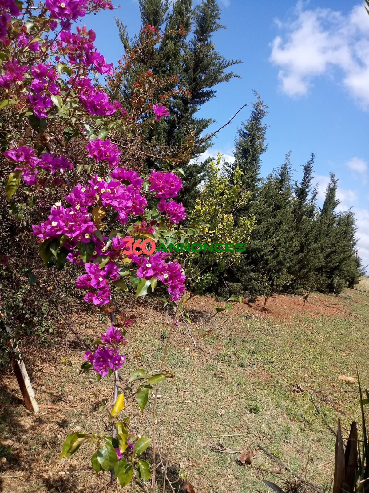 Terrain avec Construction Habitable à Vendre à Khmissat Maaziz – Exclusivité 360 Annonces — photo 2
