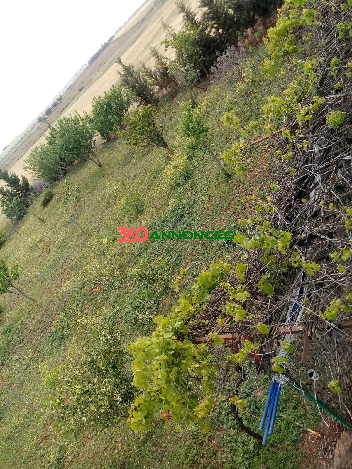 Terrain avec Construction Habitable à Vendre à Khmissat Maaziz – Exclusivité 360 Annonces — photo 3