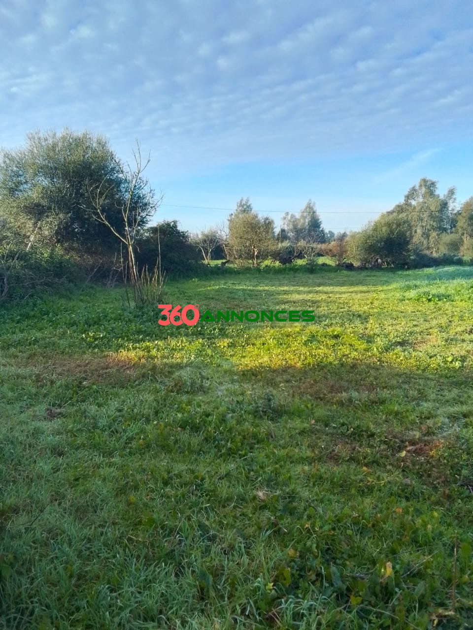 🌍 Terrain à Vendre à Ksar El Kébir 🌍 — photo 3