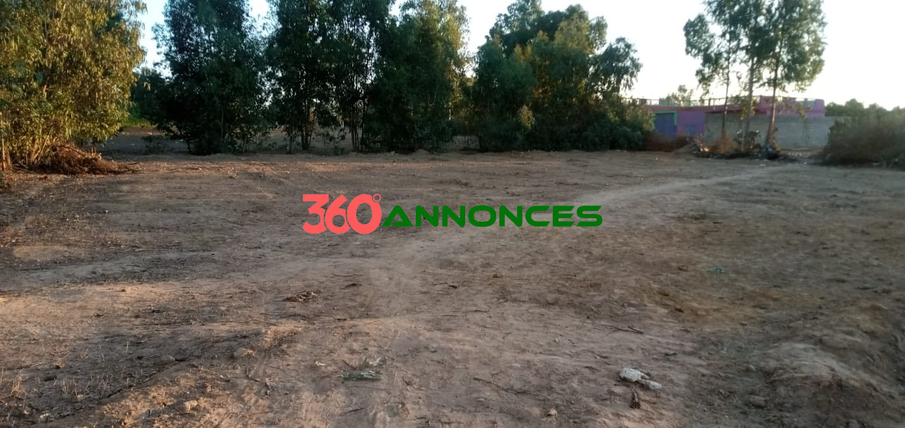 🌍 Terrain à Vendre à Ksar El Kébir 🌍 — photo 5