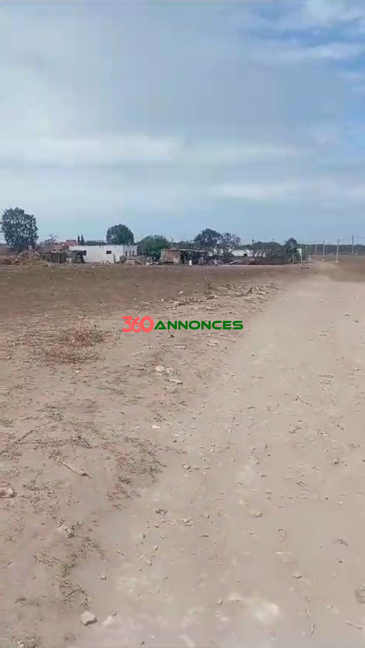 Terrain à Vendre – Opportunité Rare à El Mharza, El Jadida 🌟🏡 — photo 2