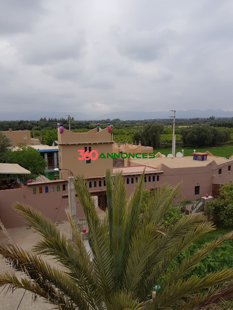 Riad à Usage Professionnel et Touristique – Douar Sidi Aissa, près de Taroudant - photo 12