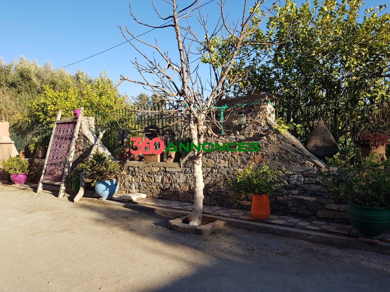 Riad à Usage Professionnel et Touristique – Douar Sidi Aissa, près de Taroudant - photo 19