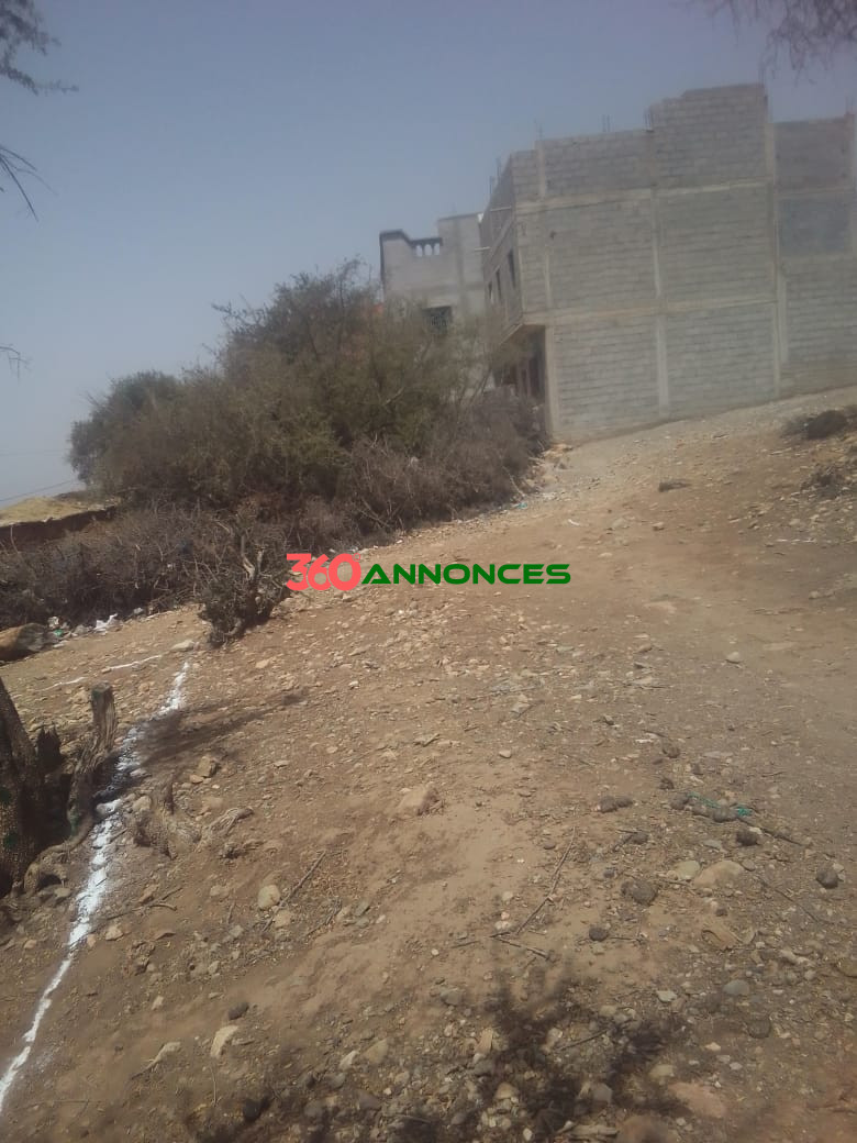 🌳 Terrain de 230 m² près de Taroudant — photo 2