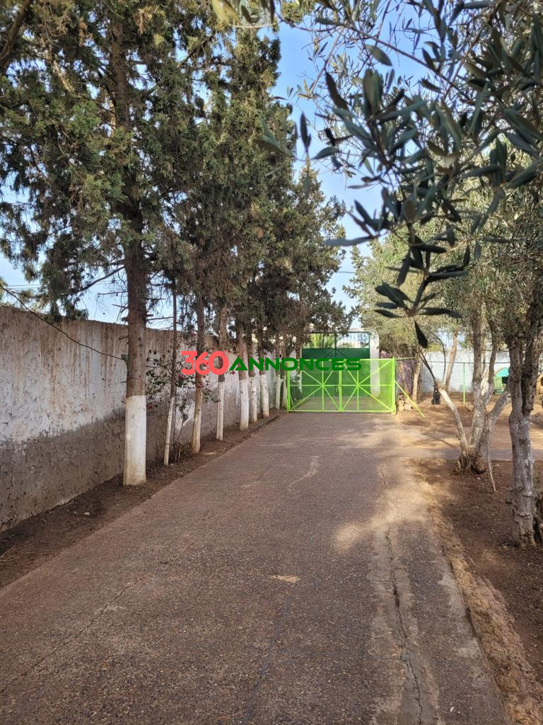 Terrain de 3 800 m² avec Locaux Commerciaux, Café et Villa - photo 16