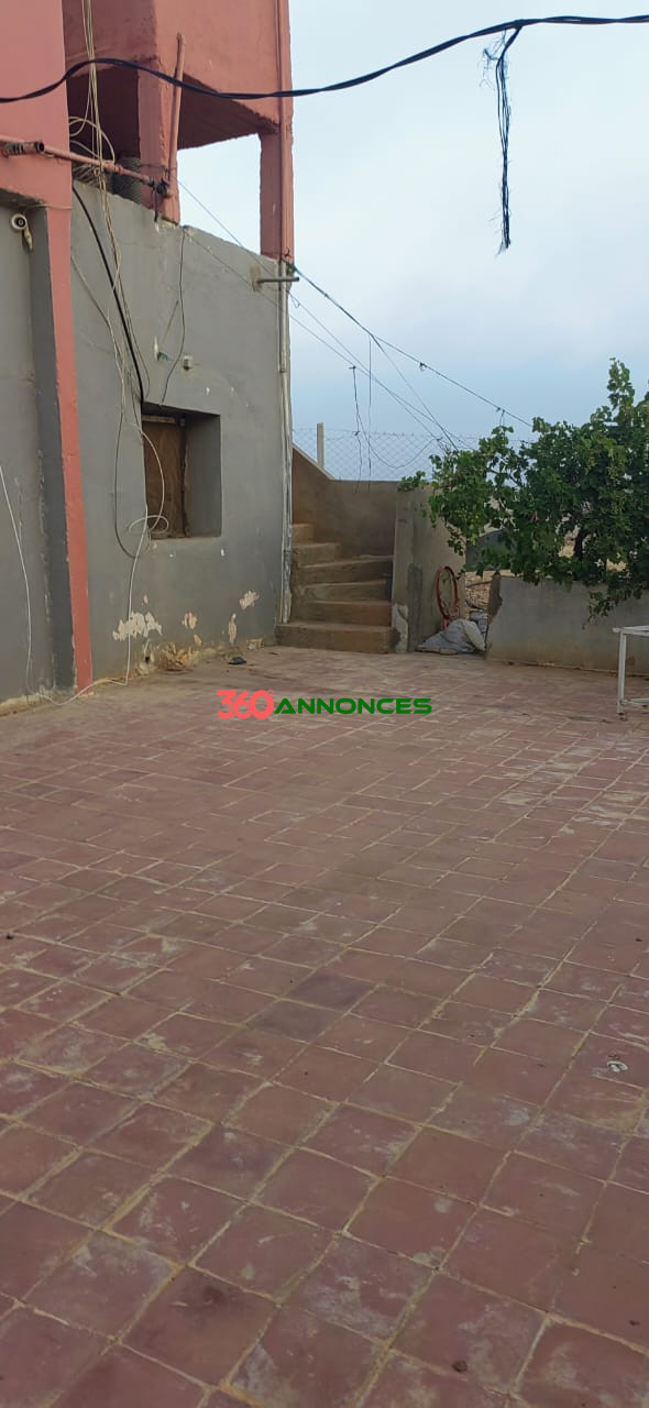 Ferme à vendre à Tiflet 🌳 - photo 20