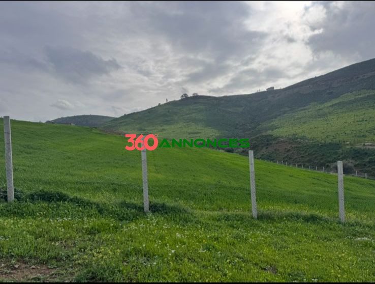 Terrain à vendre à Tamesna – Zone villas - 410 m² - 2 700 000 DH - photo 3