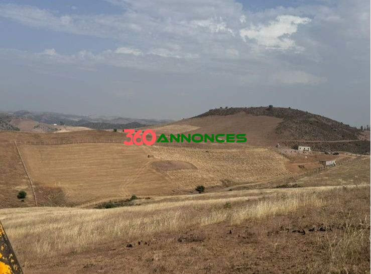 Terrain à vendre à Tamesna – Zone villas - 410 m² - 2 700 000 DH - photo 4