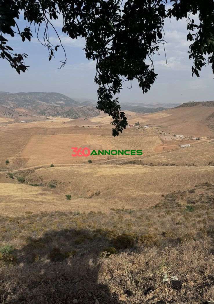 Terrain à vendre à Tamesna – Zone villas - 410 m² - 2 700 000 DH - photo 5