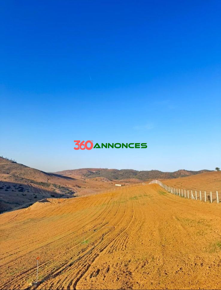 Terrain à vendre à Tamesna – Zone villas - 410 m² - 2 700 000 DH - photo 6