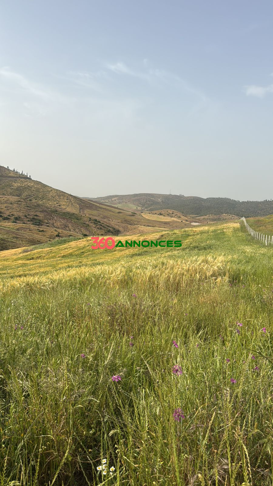 Terrain à vendre à Tamesna – Zone villas - 410 m² - 2 700 000 DH - photo 7
