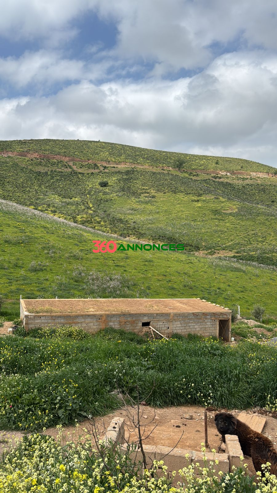 Terrain à vendre à Tamesna – Zone villas - 410 m² - 2 700 000 DH - photo 10