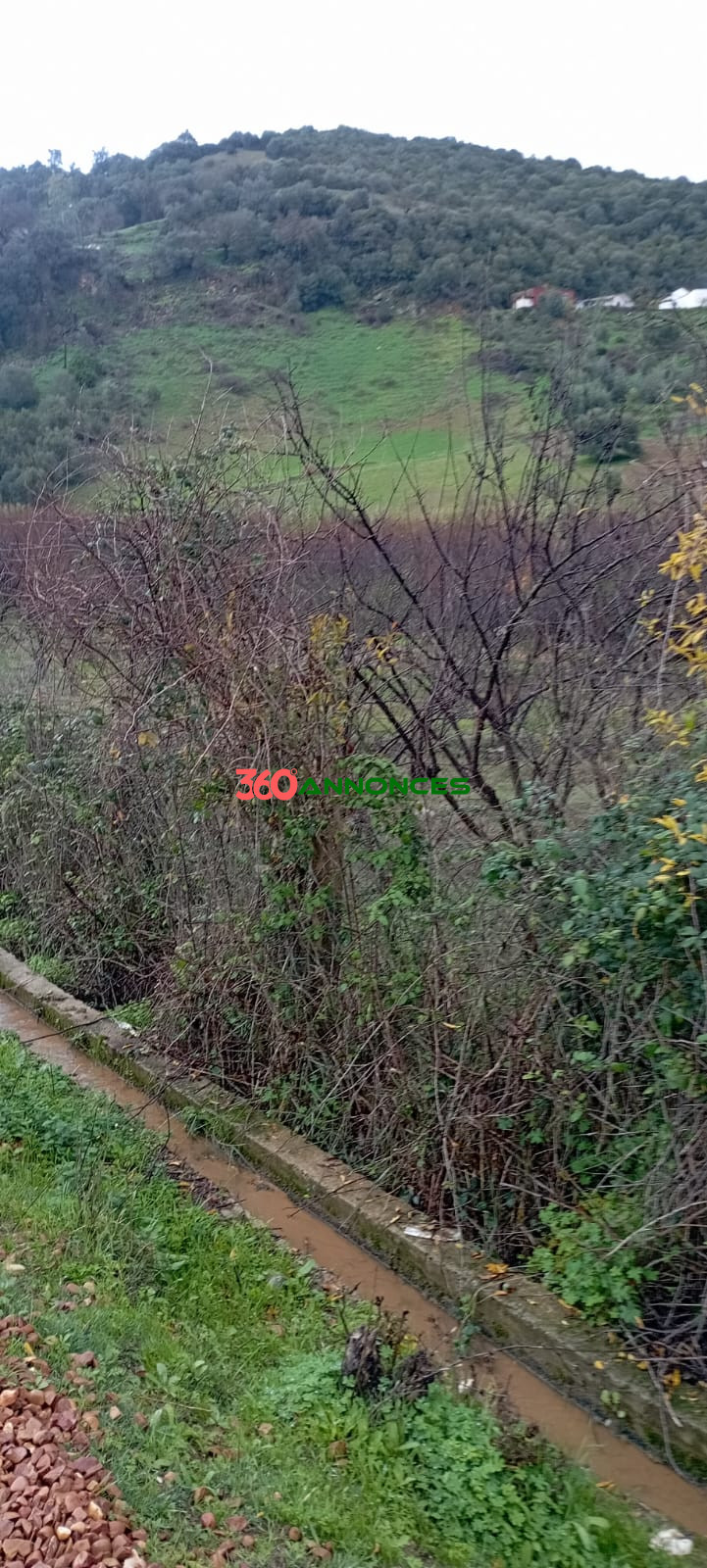 Villa à vendre à Ouazzane – 2 000 m² terrain à 520 000 DH — photo 5