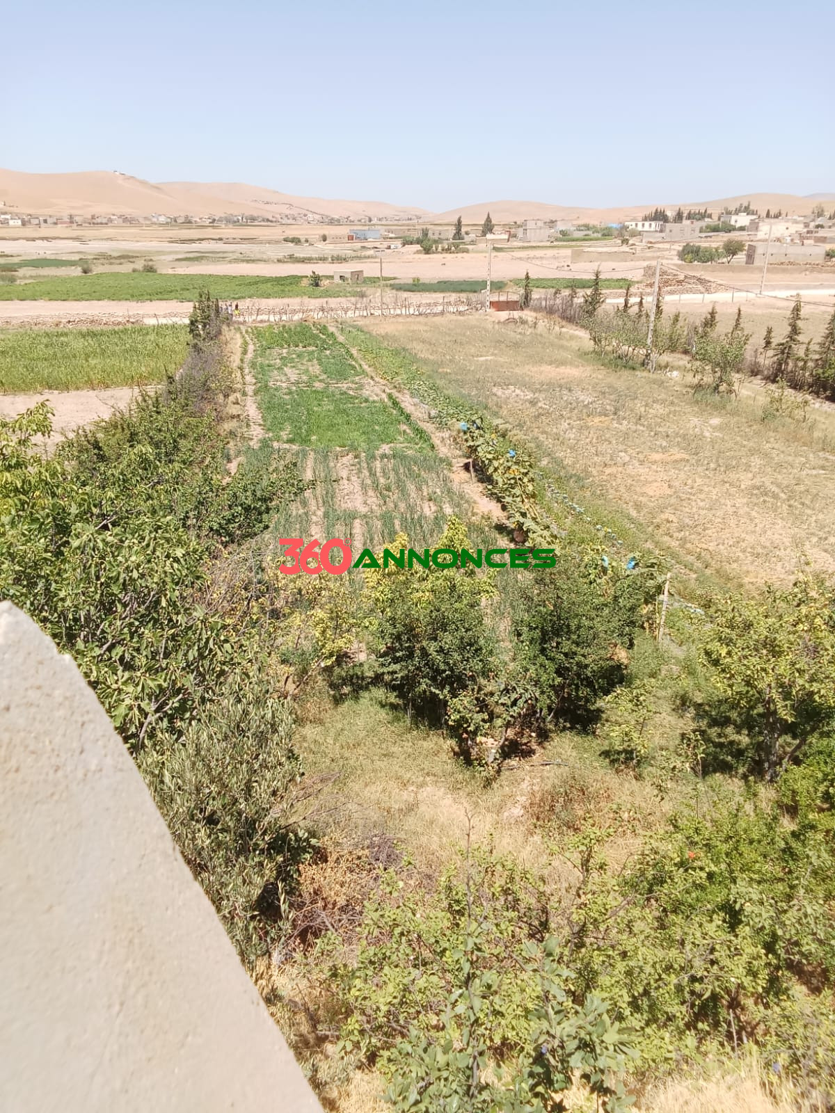 Ferme / Terrain agricole à vendre à Sefrou – 4227 m² | 1 100 000 DH — photo 5