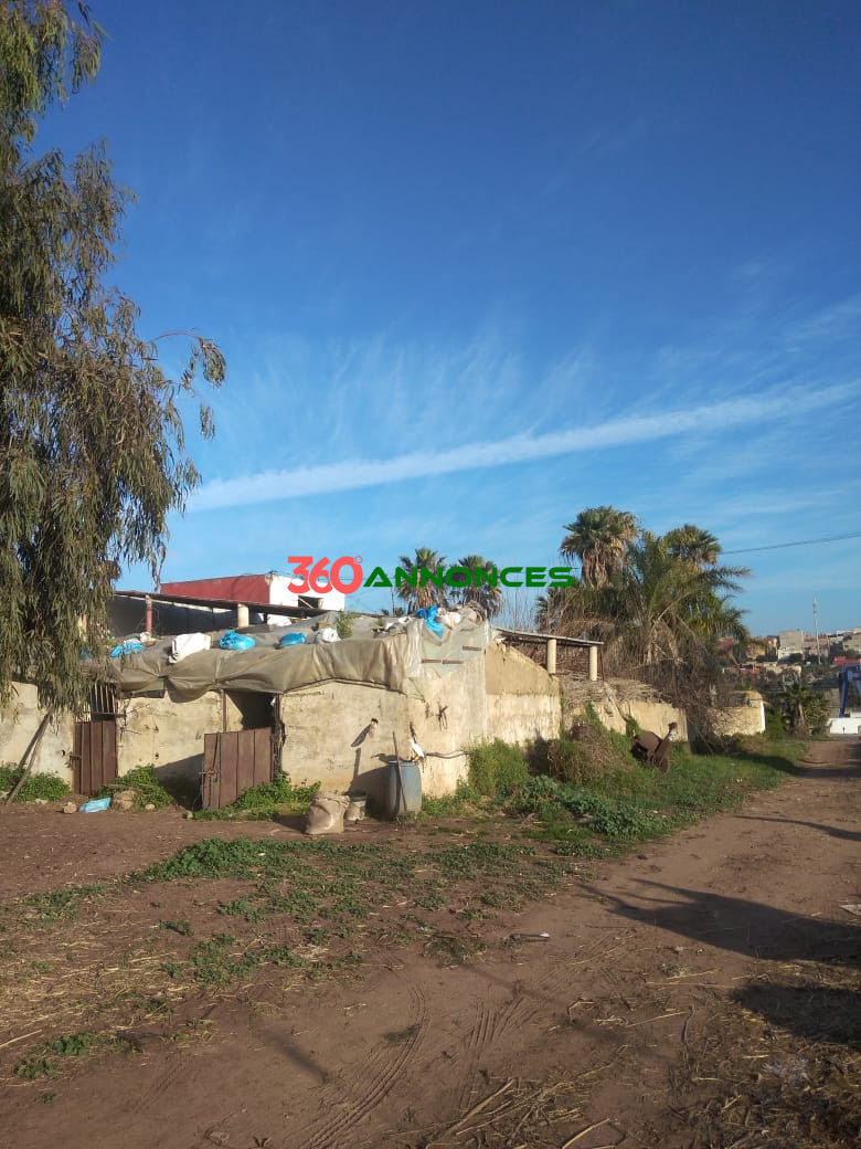 Terrain à vendre à Salé Bouknadel – 9 Hectares - 1200 DH/m² - photo 3