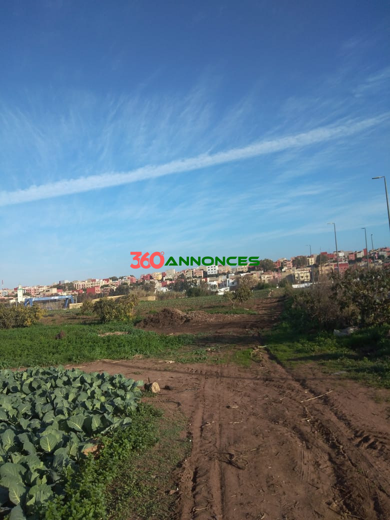 Terrain à vendre à Salé Bouknadel – 9 Hectares - 1200 DH/m² - photo 6
