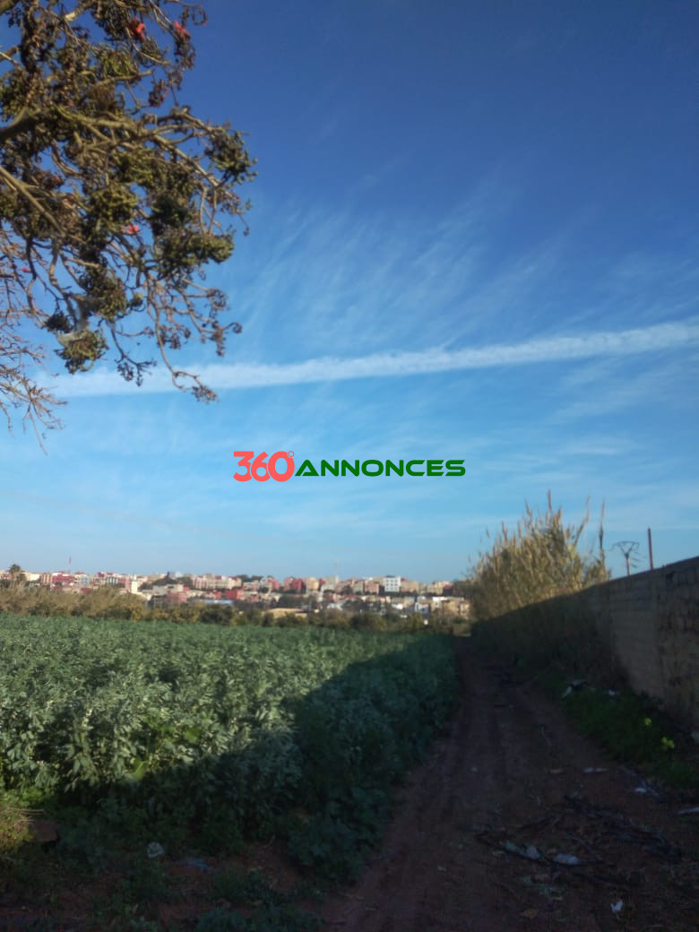Terrain à vendre à Salé Bouknadel – 9 Hectares - 1200 DH/m² - photo 7