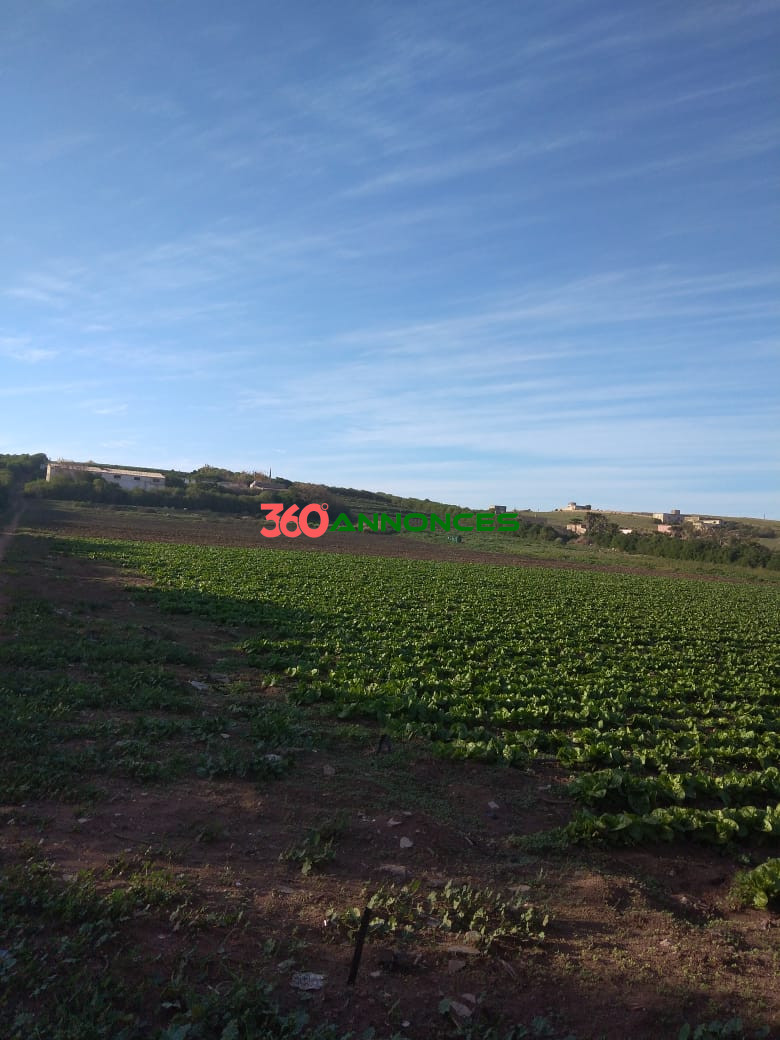 Terrain à vendre à Salé Bouknadel – 9 Hectares - 1200 DH/m² - photo 10