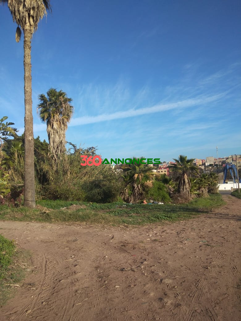 Terrain à vendre à Salé Bouknadel – 9 Hectares - 1200 DH/m² - photo 11