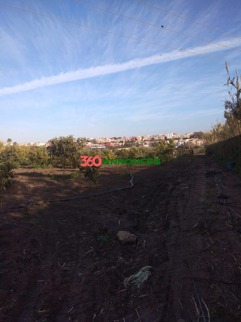 Terrain à vendre à Salé Bouknadel – 9 Hectares - 1200 DH/m² - photo 12